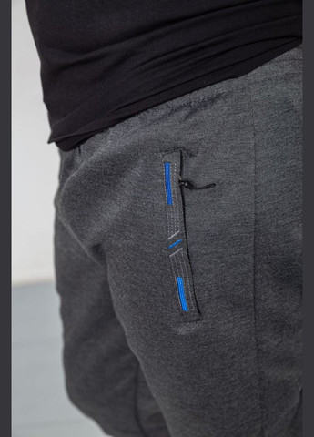 Темно-серые спортивные демисезонные брюки Ager