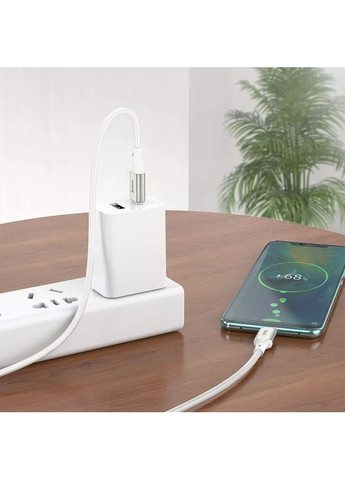 Зарядный кабель X66 Howdy на 60W с разъемом Type-C to Type-C Кабель для быстрой зарядки Hoco (349824315)