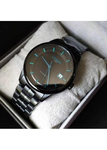 Special Carnival (346531647)