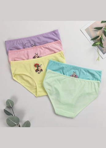 Набор детских трусиков слип для девочек 5 шт Nicoletta Трусики (303829500)