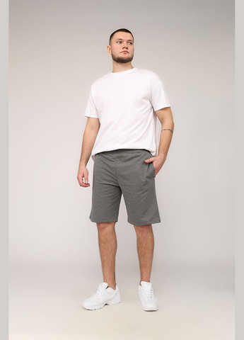 Шорты спортивные мужские цвет темно-серый CB-00266218 Yuki (330223123)