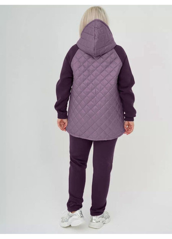 Теплый зимний костюм с худыми на флисе и вставками из плащевки Sofia 82 (365309657)