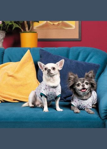 Футболка Flora для собак бавовна трикотаж білий з квітковим принтом (*) Pet Fashion (323219850)