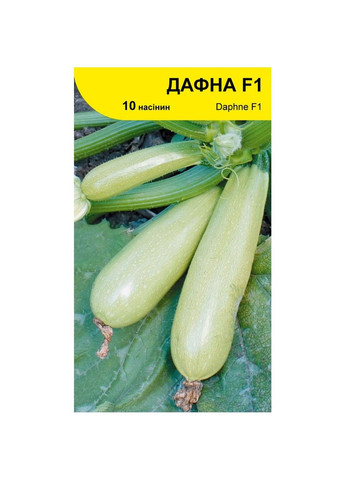 Семена кабачка Дафна F1 Syngenta (331900684)