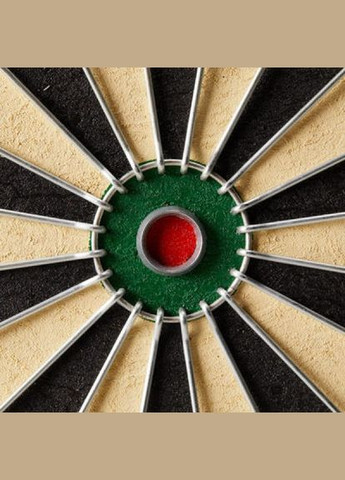 Мишень для Дартса Классическая Canaveral (336550066)