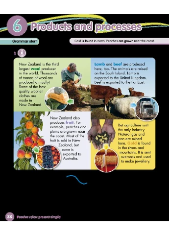 Grammar Goals. Level 5. Pupil's Book Pack Pan MacMillan (370127037)