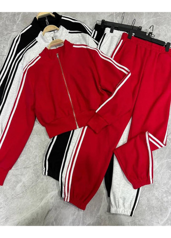 Жіночий спортивний костюм з лампасами Україна (354824024)