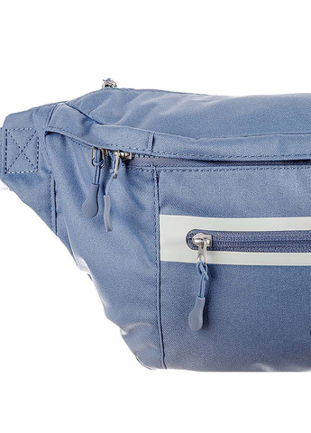 Сумка на пояс NK ELMNTL PRM WAISTPACK Блакитний Nike (302290682)