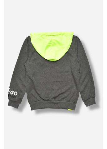 Кофта дитяча для хлопчика сірого кольору з принтом Let's Shop (365589420)