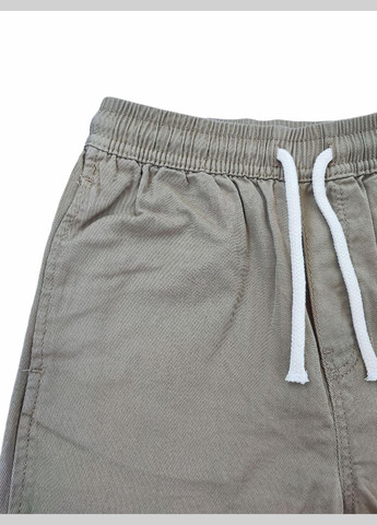 Детские шорты для мальчика 110 см (25063007D) H&M (348061140)