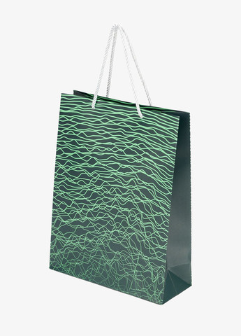 Пакет подарунковий P-L015 Зелений Leader (316005890)