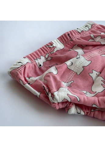 Тренувальні трусики, дитячі багаторазові труси для привчання до горщика No Brand (356675432)