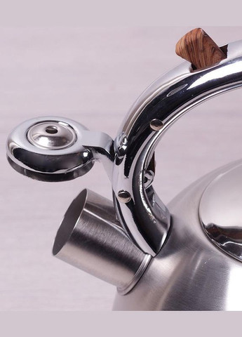 Чайник Whistling Kettle 2л из нержавеющей стали со свистком Kamille (329893007)