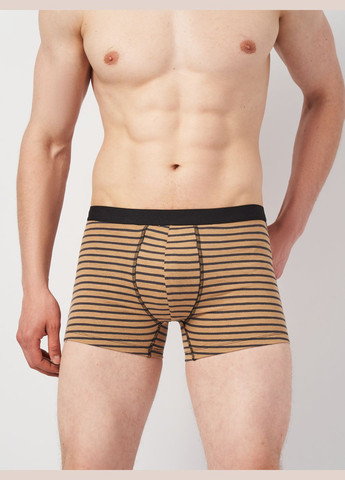 Труси (3шт) Basic Collection (295079751)