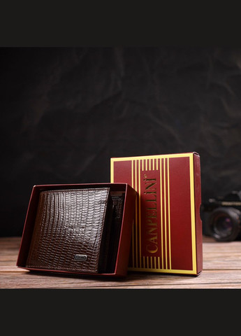 Цікаве чоловіче портмоне з натуральної фактурної шкіри 21785 Коричневе Canpellini (331906983)