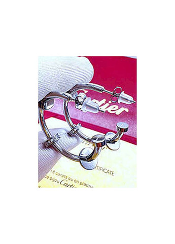Сережки Stainlees Steel 1 333 Stainless Steel (346394369)