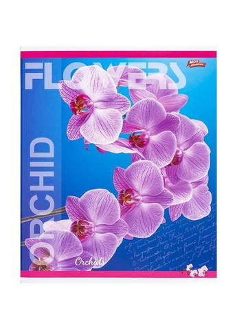 Зошит 36 арк. клітинка "МРІЇ" / Орхідеї Мрії Збуваються (342415643)