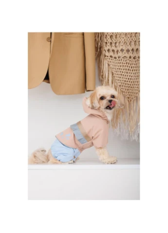 Дождевик Tina ХS2 девочка 4823082435142 Pet Fashion (386783188)