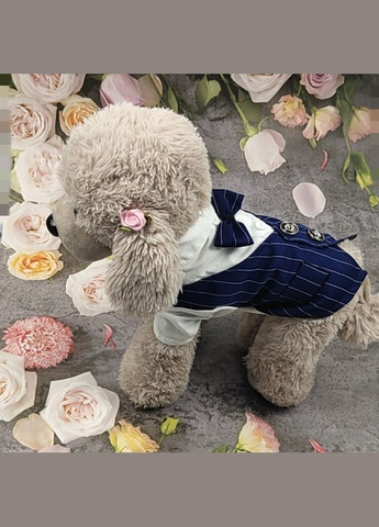 Костюм для котів Pet Style "Джентельмен" Синій XL No Brand - (323235788)