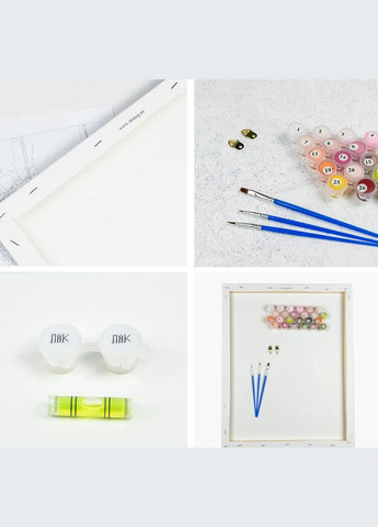 Картина за номерами Жіноча сутність (з лаком та рівнем) 40х50 см SY6393 ( ) Strateg (328945021)