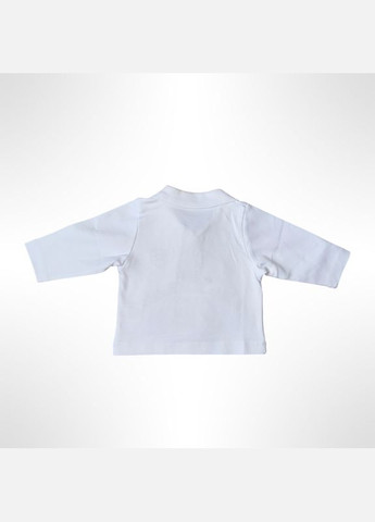 Лайм демісезонний дитячий комплект трійка (вітровка з капюшоном + футболка з довгими рукавами + штани) для хлопчика petito clab No Brand