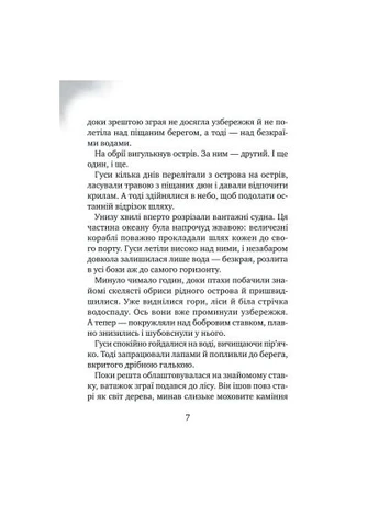 Книга Дикий робот рятує (Дикий робот #3) - Пітер Браун (9786171714113) Vivat Дикий робот рятує (Дикий робот #3) - Пітер Браун (401751497)