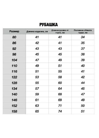 Тепла дитяча флісова сорочка блакитна в клітинку No Brand (328069498)