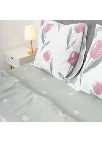 Постільна білизна двоспальне Ранфорс 24248-2 210х175 см Viluta (336327907)