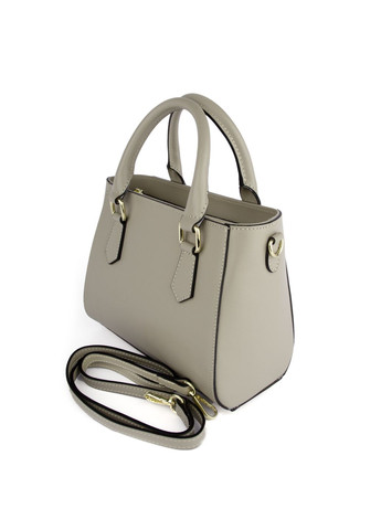 Сумка женская кожаная с 2 ручками 03884 капучино Virginia Conti (325989716)