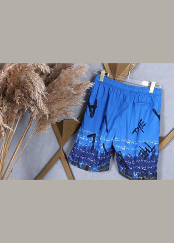 Фабричные шорты для мужчин D-2395 Синий L/52 Sofia (268025160)