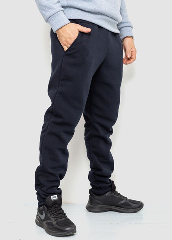 Спорт чоловічі штани на флісі однотонні, колір світло-сірий, Ager (271961056)