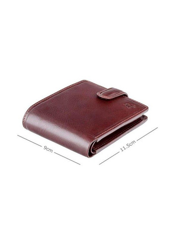 Портмоне мужское кожаное Filipo Brown (TSC48 BRN) Visconti (326055600)