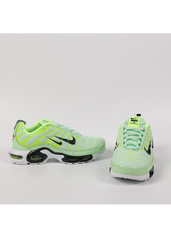 Серые демисезонные кроссовки мужские nike air max plus tn green найк аир макс тн плюс No Brand