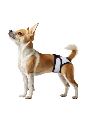 Трусы гигиенические для котов и собак Vet на липучках, серый, M, А 40-50 см, В 13 см WAUDOG (333799830)