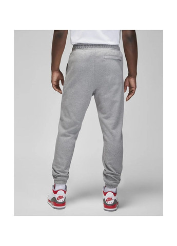 Серые демисезонные брюки Air Jordan