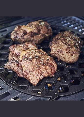 Грати Switch Grid Sear Grate 30 см 7791 Enders (326804367)