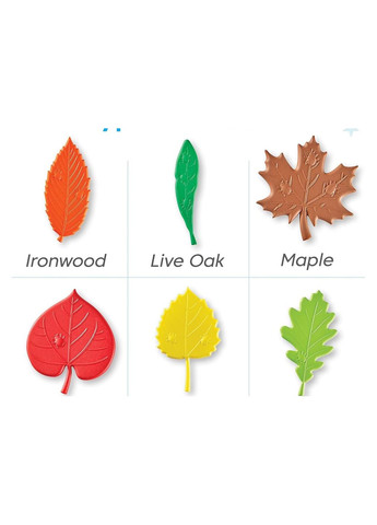 Математичний набір "Сенсорні листочки " сенсорне листя Sensory Leaves Math Activity Set hand2mind (342374329)