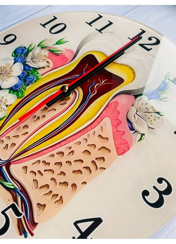 Часы настенные Зуб. Анатомия Creative (360668324)