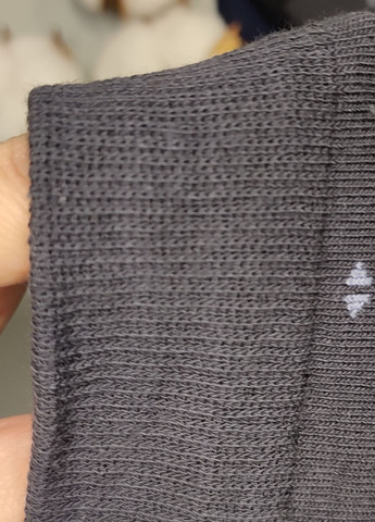 Комбинированные носки высокие хлопковые 6 пар упаковка ml 204/6 р.40-44 разные цвета Lomani (331290964)