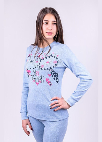 Голубая всесезон женский домашний комплект кошки голубой свитшот + брюки Україна