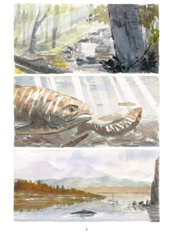 Книга Коди. Автор - Джаред Каллем ( ) Northern Lights (370569033)