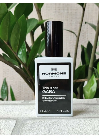 Парфуми унісекс на подарунок This is Not Gaba (Габа), у сумочці, 50 мл No Brand (390129403)