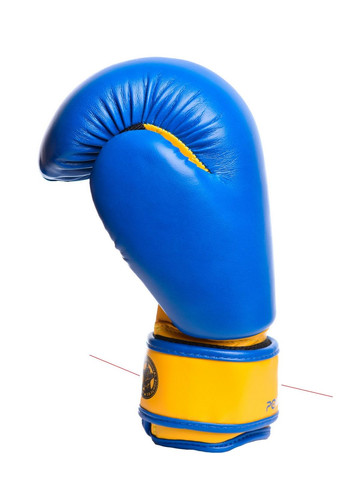 Боксерские перчатки PowerPlay (282589046)