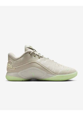 Бежеві Осінні кросівки lebron xxii fz1094-002 Nike