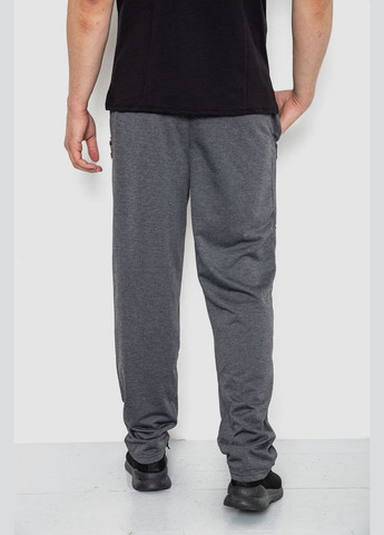 Темно-серые демисезонные брюки Ager