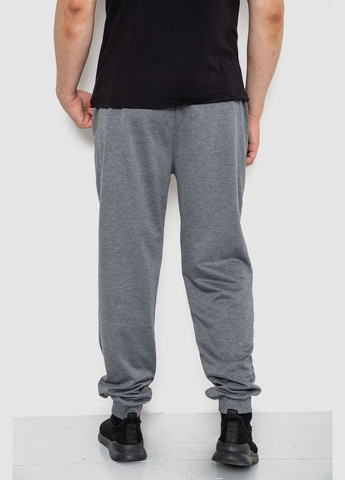 Серые спортивные, кэжуал демисезонные брюки Ager