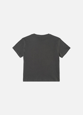 Темно-сіра літня футболка з коротким рукавом для дівчинки колір темно-сірий цб-00247157 Divonette