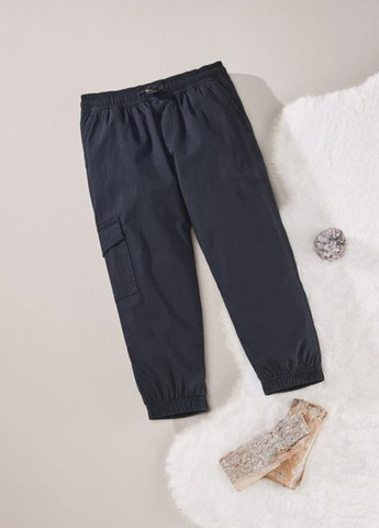 Темно-синие повседневный демисезонные брюки карго Lupilu