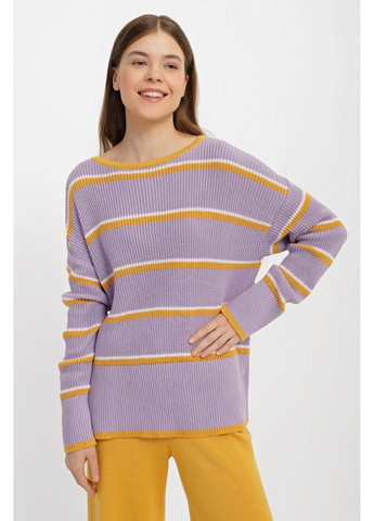 Бузковий демісезонний джемпер jw902 Sewel