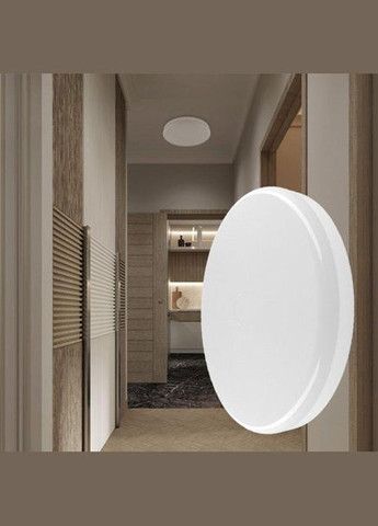 Светильник светодиодный настенно-потолочный 20W 6500K холодное белое свечение 19.5х3.8 см ELM (301347586)